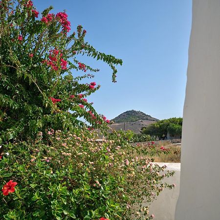 Amelie Villa With Pool And Amazing Sea Views, Paros Marpissa Exterior photo